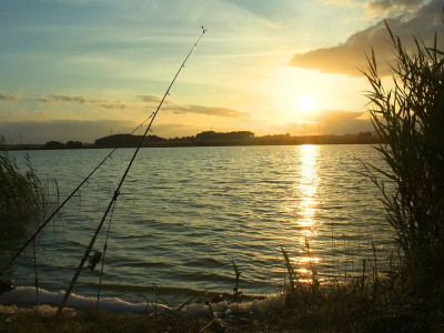 Angelruten am Wasser bei Sonnenuntergang